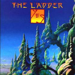 Yes : The Ladder